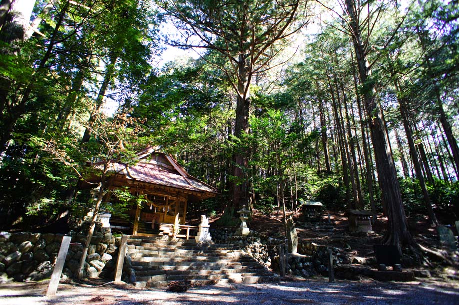 SONY DSC